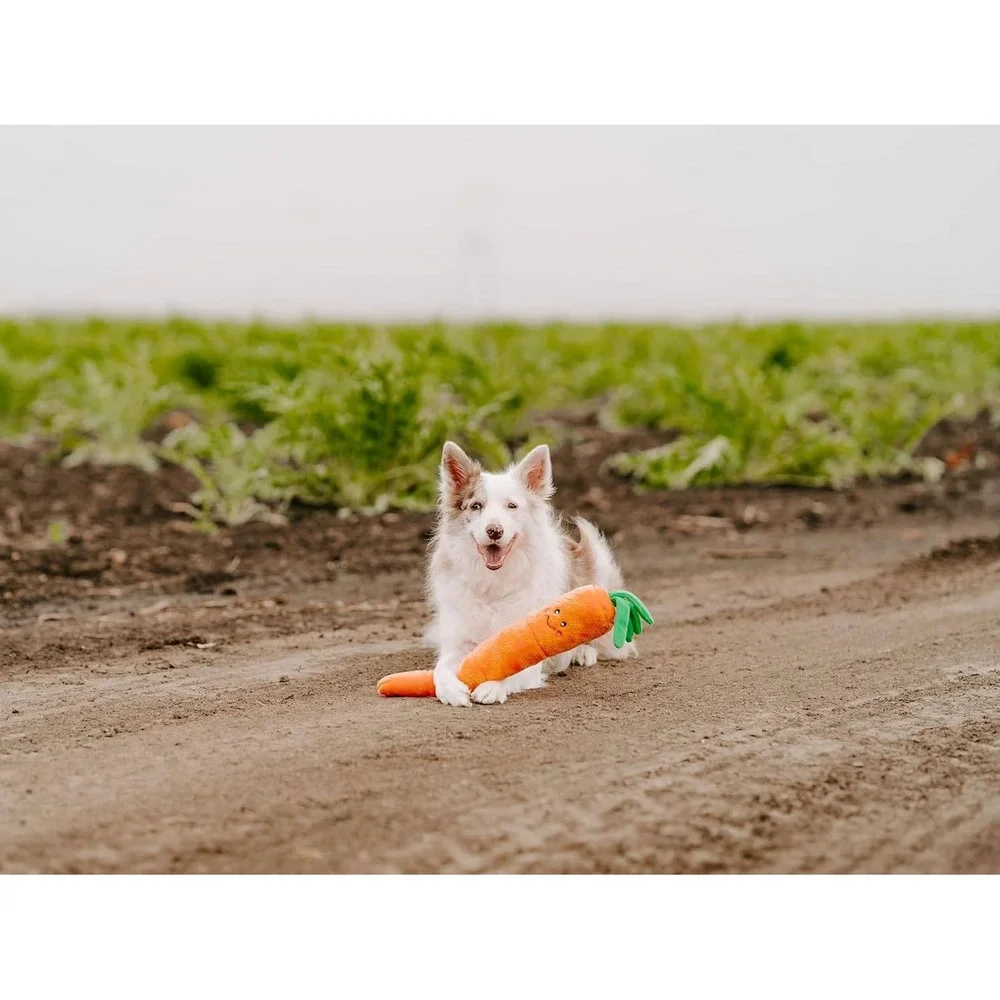 ZippyPaws Jigglerz Carrot Dog Toy Durable Plush Squeaky‎ 20
